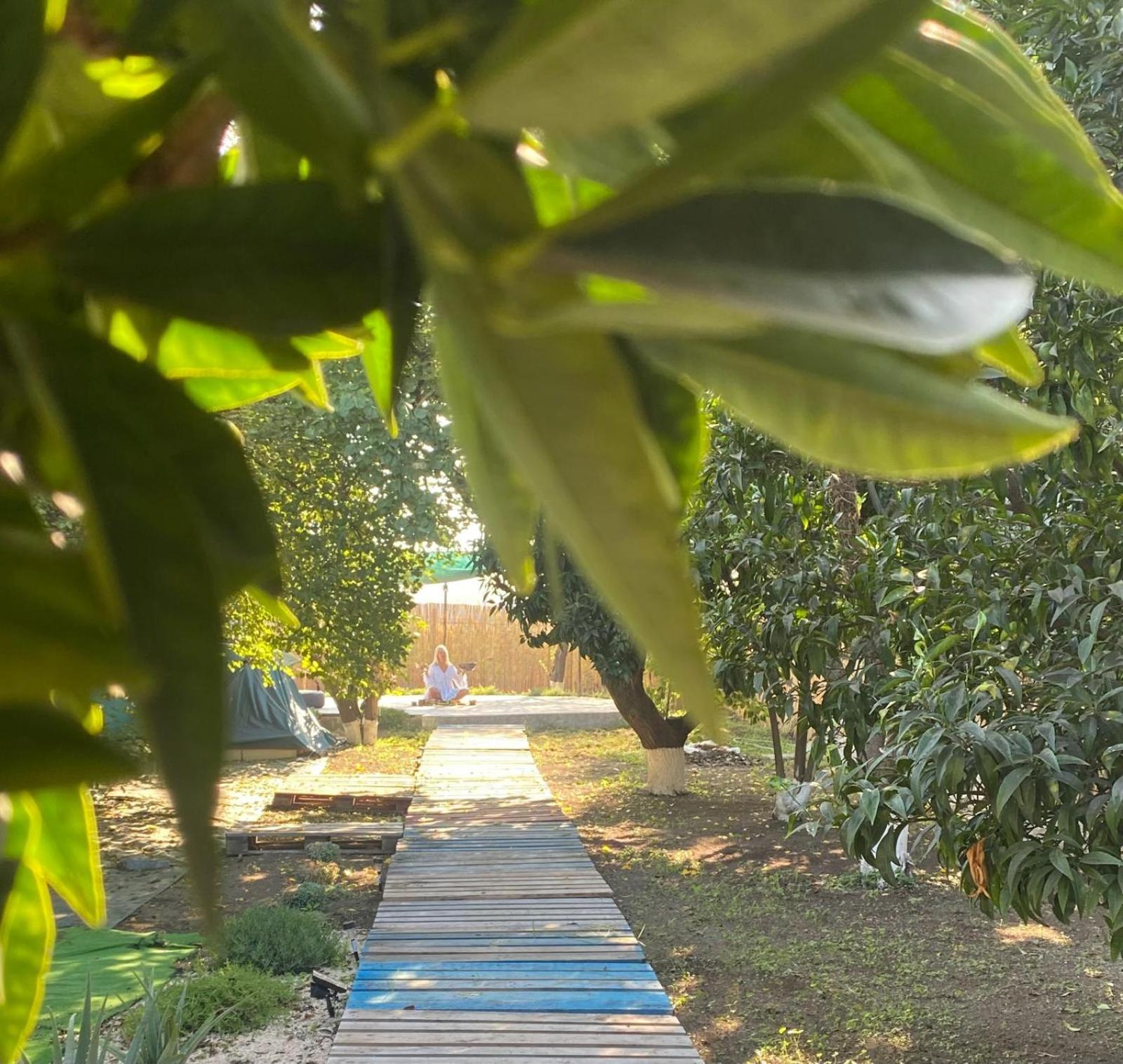 Pompei Villa Regina Boscoreale Ngoại thất bức ảnh